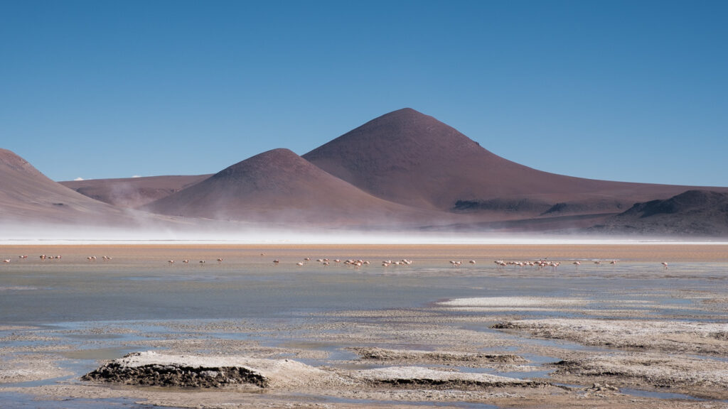 water laguna infront of the high volcanose filled with Flamincos