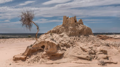 erroded sand pile in the desert with bending small tree on the side of the pile