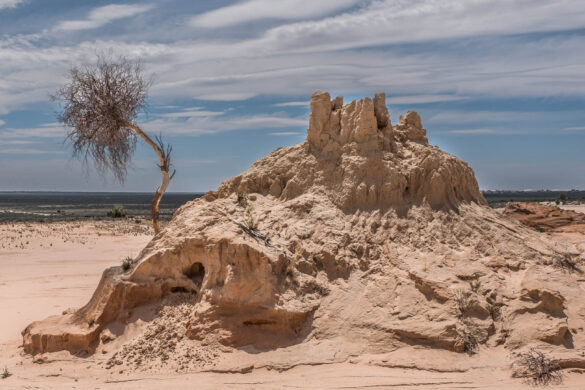 erroded sand pile in the desert with bending small tree on the side of the pile