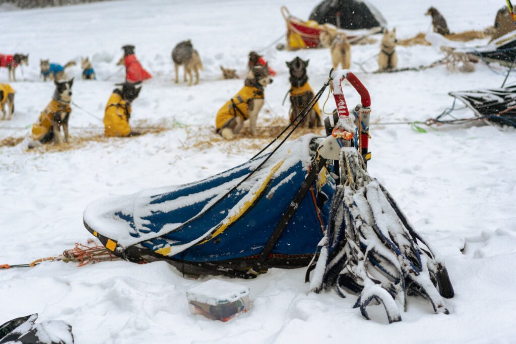 sled covered with a lot of snow and sleddogs in the background