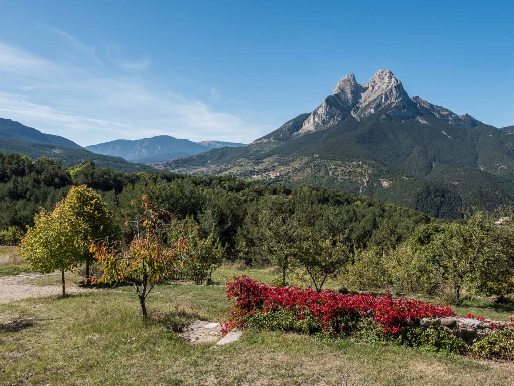 beautiful rock monolith in the spanich pyrenees with some flowers in a foreground