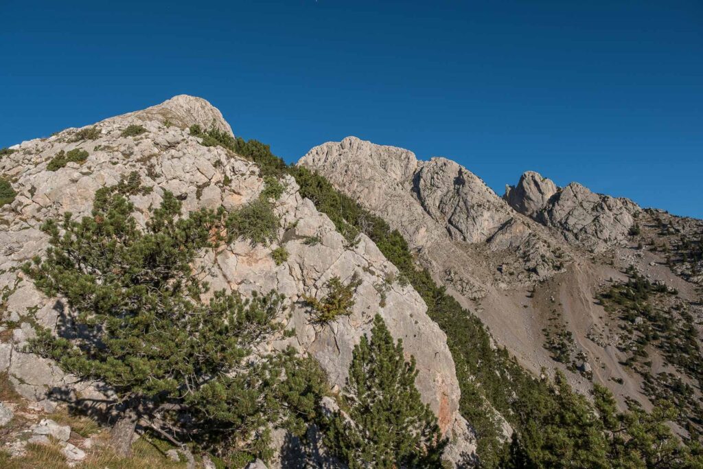 noce limestone mountains with some woods around