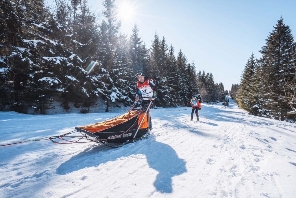 Dogled race Leodvá jízda, Musher and his skier on the race